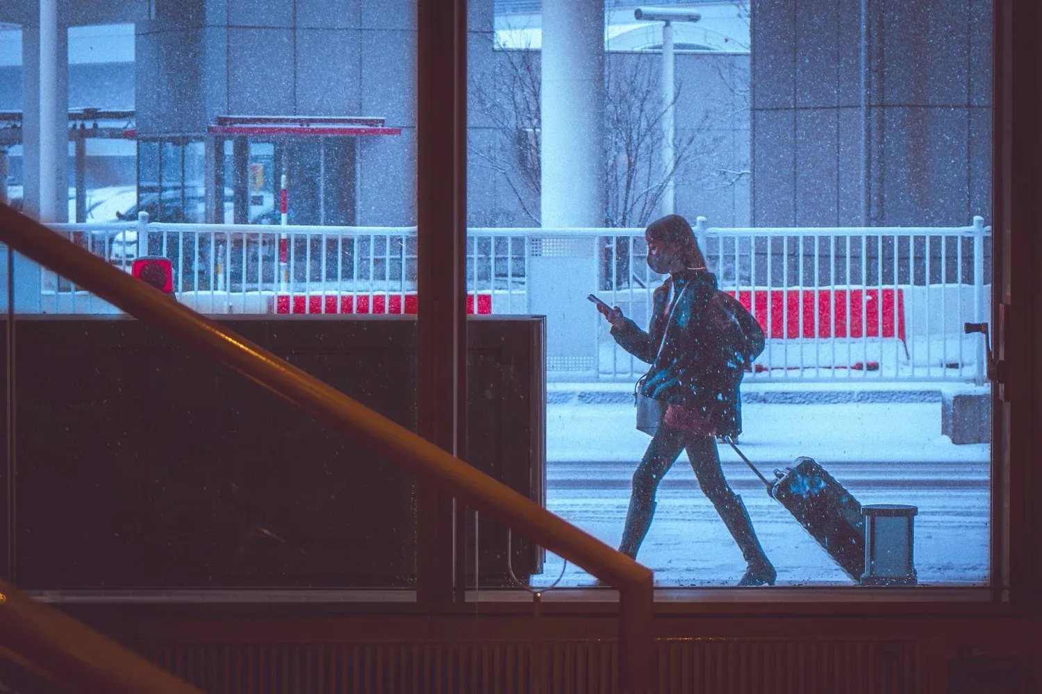 Snow Day cover image
